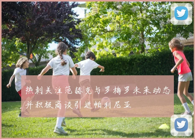 热刺关注范赫克与罗梅罗未来动态并积极商谈引进帕利尼亚