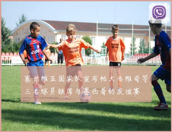 塞尔维亚国家队宣布帕夫洛维奇等三名球员缺席与墨西哥的友谊赛